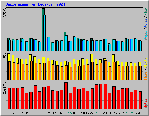 Daily usage for December 2024
