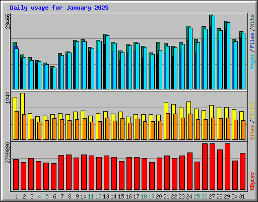 Daily usage for January 2025