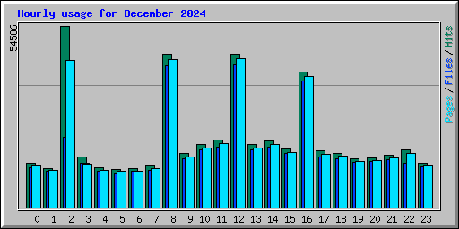 Hourly usage for December 2024