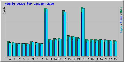 Hourly usage for January 2025
