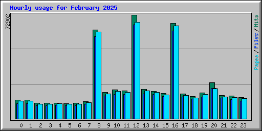 Hourly usage for February 2025