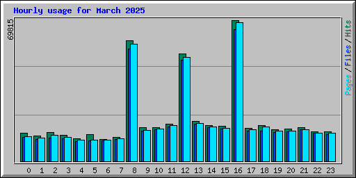 Hourly usage for March 2025