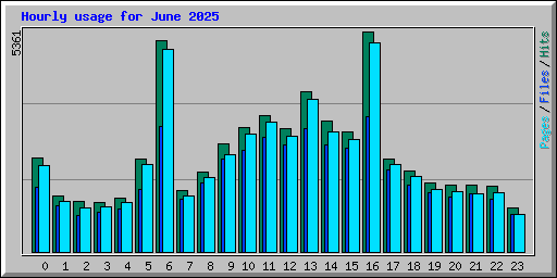 Hourly usage for June 2025